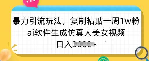 暴力引流玩法，复制粘贴一周1w粉，ai软件生成仿真人美女视频，日入多张网赚项目-副业赚钱-互联网创业-资源整合南风学院