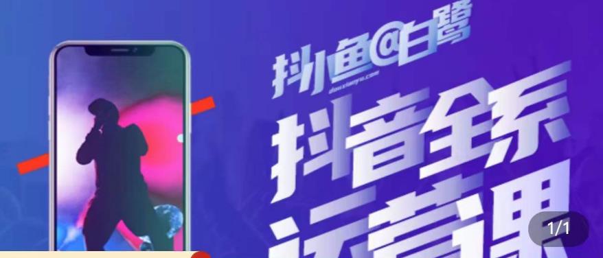 白鹭·主播内训营，运营主播话术起号进阶能力提升网赚项目-副业赚钱-互联网创业-资源整合南风学院