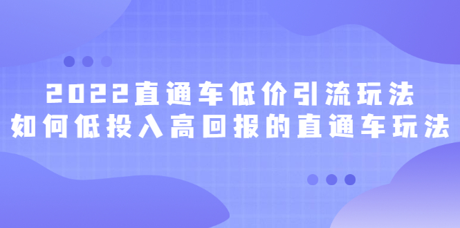 2022直通车低价引流玩法，教大家如何低投入高回报的直通车玩法网赚项目-副业赚钱-互联网创业-资源整合南风学院