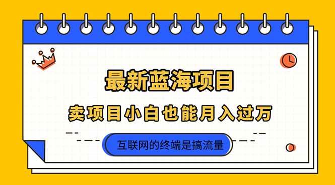 （14289期）2025年最新蓝海项目，卖项目小白也能月入过万网赚项目-副业赚钱-互联网创业-资源整合南风学院