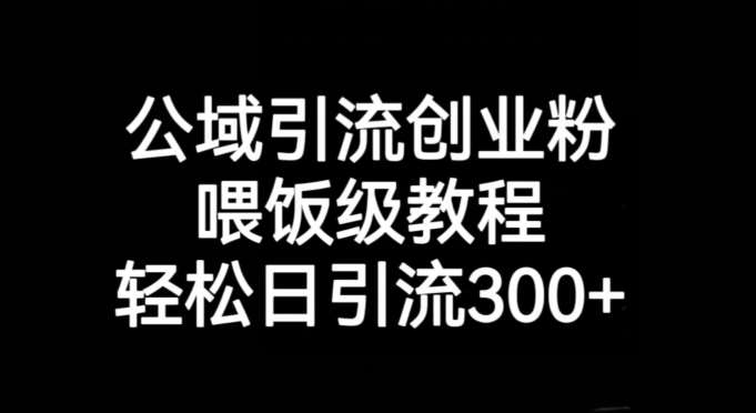 公域引流创业粉，喂饭级教程，轻松日引流300+【揭秘】网赚项目-副业赚钱-互联网创业-资源整合南风学院