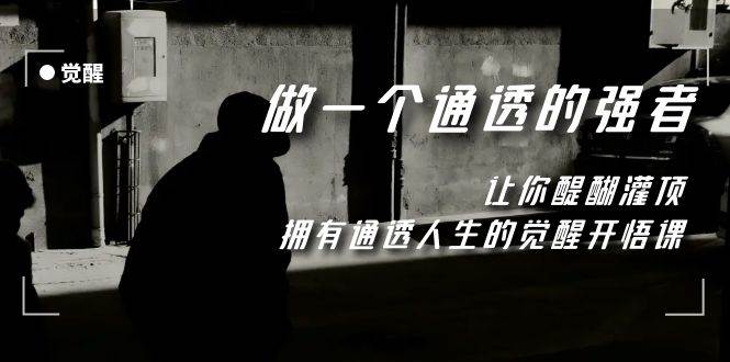 （7696期）觉醒-做一个通透强者，让你醍醐灌顶，拥有通透人生，掌握强大的秘密网赚项目-副业赚钱-互联网创业-资源整合南风学院