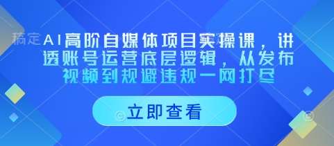 AI高阶自媒体项目实操课，讲透账号运营底层逻辑，从发布视频到规避违规一网打尽网赚项目-副业赚钱-互联网创业-资源整合南风学院