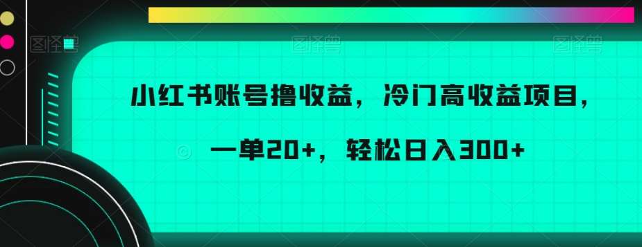 小红书账号撸收益，冷门高收益项目，一单20+，轻松日入300+【揭秘】网赚项目-副业赚钱-互联网创业-资源整合南风学院
