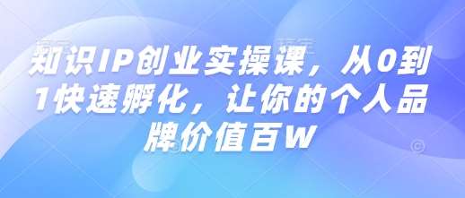 知识IP创业实操课，从0到1快速孵化，让你的个人品牌价值百W网赚项目-副业赚钱-互联网创业-资源整合南风学院
