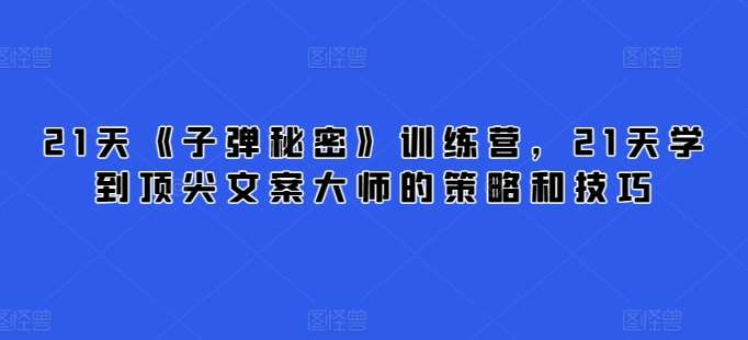 21天《子弹秘密》训练营，21天学到顶尖文案大师的策略和技巧网赚项目-副业赚钱-互联网创业-资源整合南风学院