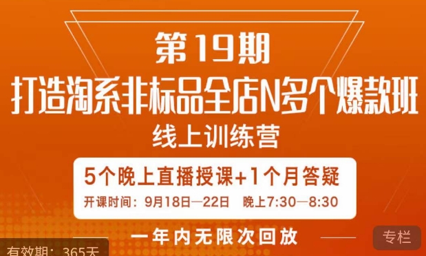 钟辰·拼多多单品爆款班，一个拼多多超级爆款养一个团队网赚项目-副业赚钱-互联网创业-资源整合南风学院