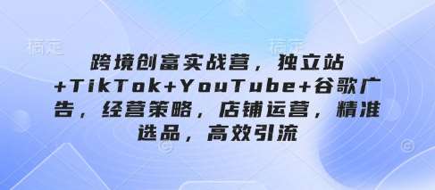 跨境创富实战营，独立站+TikTok+YouTube+谷歌广告，经营策略，店铺运营，精准选品，高效引流网赚项目-副业赚钱-互联网创业-资源整合南风学院