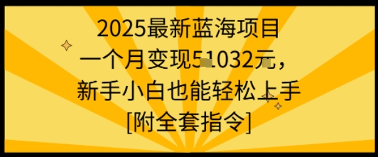 2025最新蓝海项目一个月变现1w+新手小白也能轻松上手【附全套指令】网赚项目-副业赚钱-互联网创业-资源整合南风学院