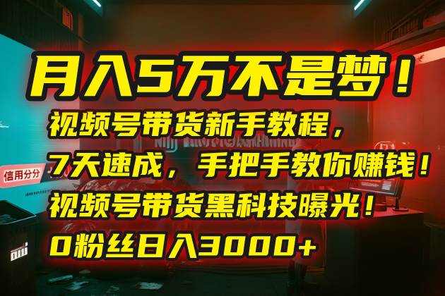（15595期）月入5万不是梦！视频号带货新手教程，7天速成，手把手教你赚钱！视频号…网赚项目-副业赚钱-互联网创业-资源整合南风学院