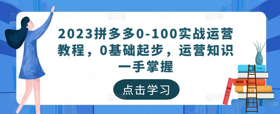 2023拼多多0-100实战运营教程，0基础起步，运营知识一手掌握网赚项目-副业赚钱-互联网创业-资源整合南风学院