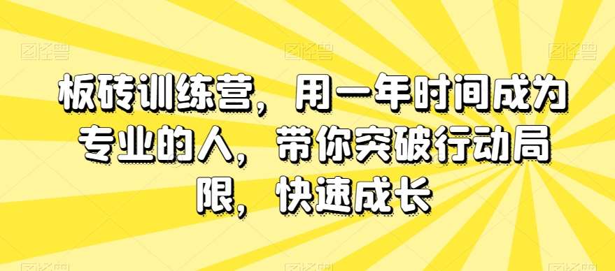 板砖训练营，用一年时间成为专业的人，带你突破行动局限，快速成长网赚项目-副业赚钱-互联网创业-资源整合南风学院