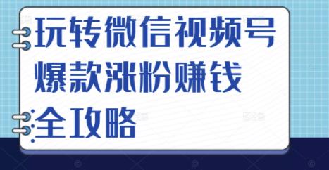 玩转微信视频号爆款涨粉赚钱全攻略，让你快速抓住流量风口，收获红利财富网赚项目-副业赚钱-互联网创业-资源整合南风学院