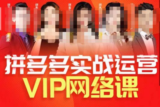 推易拼多多VIP全套直播课程，拼多多店铺实操玩法+实战玩法选款内功+直通车高阶等网赚项目-副业赚钱-互联网创业-资源整合南风学院