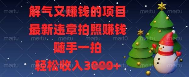 解气又挣钱的项目，最新违章拍照挣钱，随手一拍，轻松收入数张【揭秘】网赚项目-副业赚钱-互联网创业-资源整合南风学院