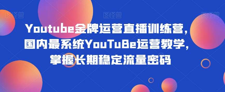 Youtube金牌运营直播训练营，国内最系统YouTuBe运营教学，掌握长期稳定流量密码网赚项目-副业赚钱-互联网创业-资源整合南风学院