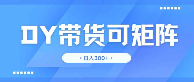 （14414期）DY带货，日入300＋矩阵无上限网赚项目-副业赚钱-互联网创业-资源整合南风学院
