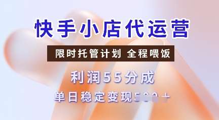 快手小店代运营，限时托管计划，收益55分，单日稳定变现多张【揭秘】网赚项目-副业赚钱-互联网创业-资源整合南风学院