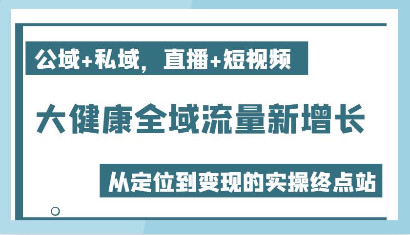 大健康全域流量新增长6.0，公域+私域，直播+短视频，从定位到变现的实操终点站网赚项目-副业赚钱-互联网创业-资源整合南风学院