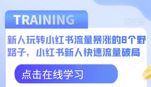 新人玩转小红书流量暴涨的8个野路子，小红书新人快速流量破局网赚项目-副业赚钱-互联网创业-资源整合南风学院