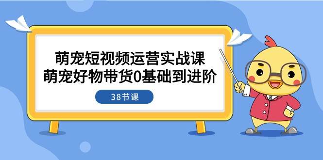 萌宠·短视频运营实战课：萌宠好物带货0基础到进阶（38节课）网赚项目-副业赚钱-互联网创业-资源整合南风学院