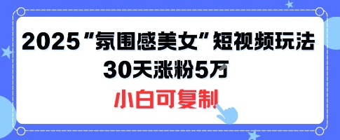 不露脸也能火！2025“氛围感美女”短视频玩法，30天涨粉5W小白可复制网赚项目-副业赚钱-互联网创业-资源整合南风学院