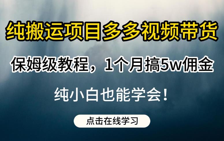 纯搬运项目多多视频带货保姆级教程，1个月搞5w佣金，纯小白也能学会【揭秘】网赚项目-副业赚钱-互联网创业-资源整合南风学院