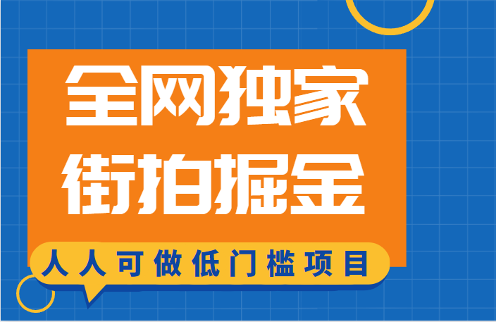 全网独家一街拍掘金，低门槛人人可做的赚钱项目网赚项目-副业赚钱-互联网创业-资源整合南风学院