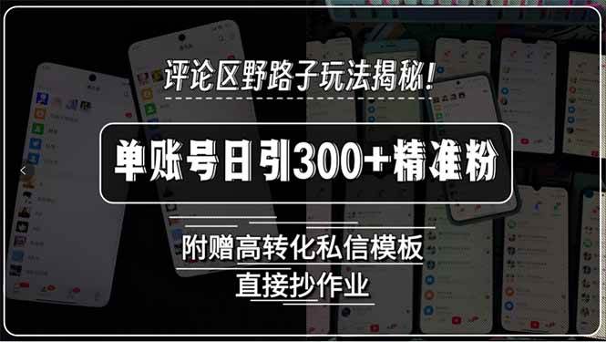 （15466期）评论区野路子玩法揭秘！单账号日引300+精准粉，附赠高转化私信模板，直…网赚项目-副业赚钱-互联网创业-资源整合南风学院