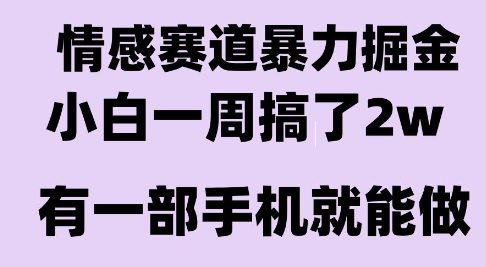 情感暴力掘金项目，新人操作一周挣了2W，长期稳定小白可做【揭秘】网赚项目-副业赚钱-互联网创业-资源整合南风学院
