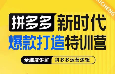 玺承·拼多多新时代爆款打造特训营，全维度讲解拼多多运营逻辑网赚项目-副业赚钱-互联网创业-资源整合南风学院