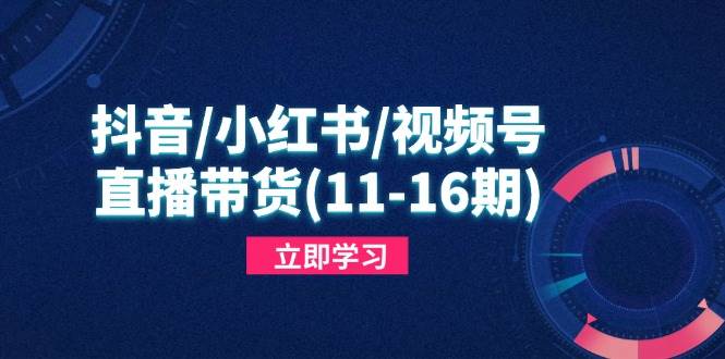 （14611期）抖音/小红书/视频号/直播带货(11-16期)，快速掌握平台规则，打造爆款内容网赚项目-副业赚钱-互联网创业-资源整合南风学院