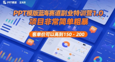 PPT模版蓝海赛道副业特训营1.0，项目非常简单粗暴，客单价可以高到150-200网赚项目-副业赚钱-互联网创业-资源整合南风学院