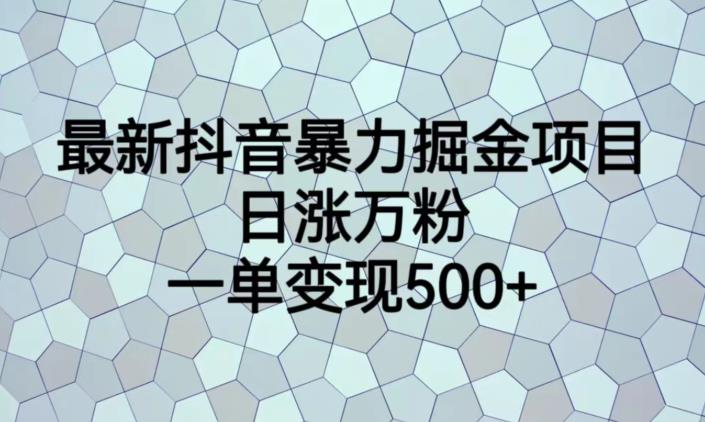 最新抖音暴力掘金项目，日涨万粉，一单变现500+【揭秘】网赚项目-副业赚钱-互联网创业-资源整合南风学院