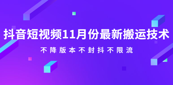 抖音短视频11月份最新搬运技术，不降版本不封抖不限流！【视频课程】网赚项目-副业赚钱-互联网创业-资源整合南风学院