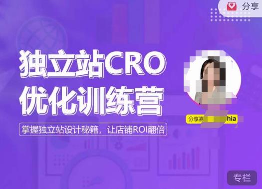 独立站CRO优化训练营，掌握独立站设计秘籍，打造高转化的独立站，让店铺ROI翻倍网赚项目-副业赚钱-互联网创业-资源整合南风学院