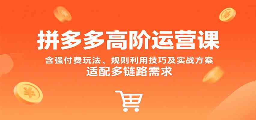 拼多多高阶运营课，含强付费玩法、规则利用技巧及实战方案，适配多链路需求网赚项目-副业赚钱-互联网创业-资源整合南风学院