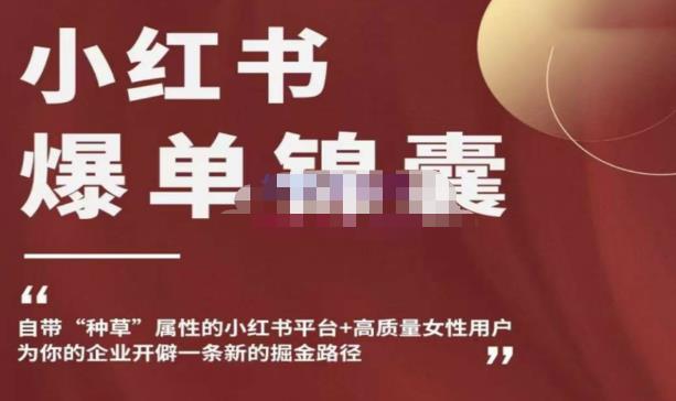 小红书爆单锦囊，自带种草属性+高质量女性用户，为你的企业开辟一条新的掘金路径网赚项目-副业赚钱-互联网创业-资源整合南风学院