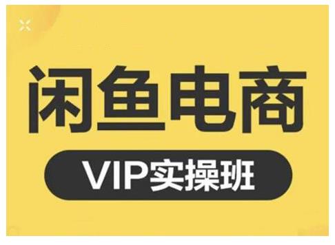 闲鱼电商零基础入门到进阶VIP实战课程，帮助你掌握闲鱼电商所需的各项技能网赚项目-副业赚钱-互联网创业-资源整合南风学院