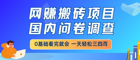 网创搬砖项目，国内问卷调查，小白轻松上手，一天三四张的也不难，干就完了【揭秘】网赚项目-副业赚钱-互联网创业-资源整合南风学院