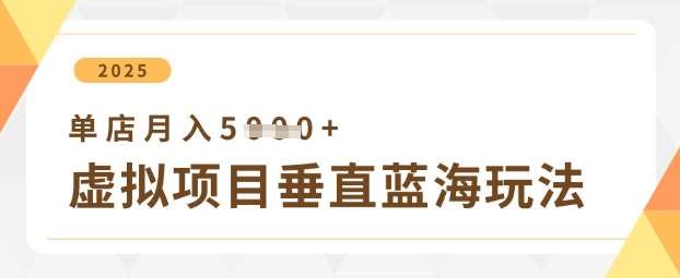 虚拟项目垂直玩法，实现单店月入5k+网赚项目-副业赚钱-互联网创业-资源整合南风学院