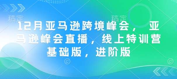 12月亚马逊跨境峰会， 亚马逊峰会直播，线上特训营基础版，进阶版网赚项目-副业赚钱-互联网创业-资源整合南风学院