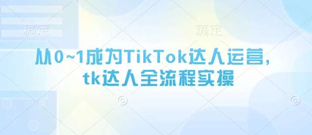 从0~1成为TikTok达人运营，tk达人全流程实操网赚项目-副业赚钱-互联网创业-资源整合南风学院