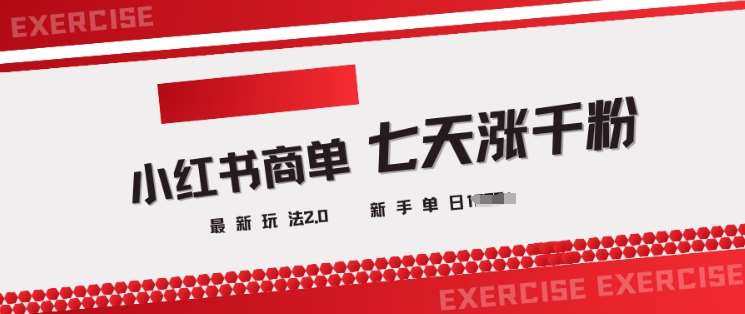 小红书商单2.0最新玩法，3天涨千粉单日变现多张网赚项目-副业赚钱-互联网创业-资源整合南风学院