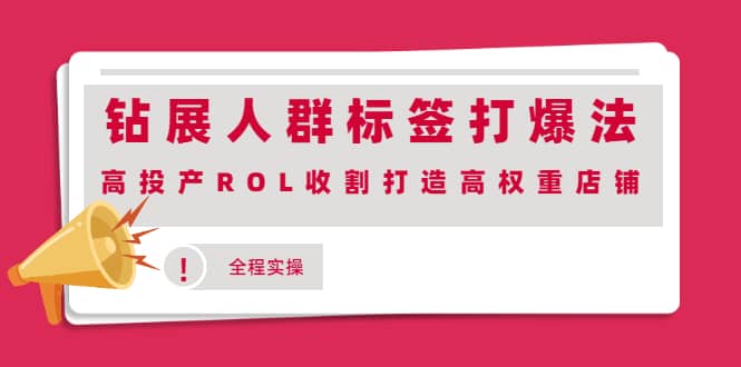 钻展人群标签打爆法，高投产ROL收割打造高权重店铺(全程实操)网赚项目-副业赚钱-互联网创业-资源整合南风学院