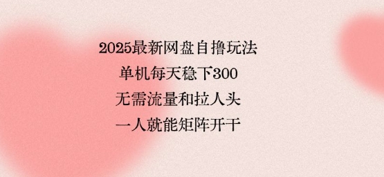 2025最新网盘自撸玩法，单机每天稳下3张，无需流量和拉人头，一个人就可轻松矩阵，全网独一份【揭秘】网赚项目-副业赚钱-互联网创业-资源整合南风学院