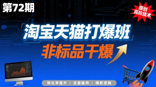淘宝天猫打爆班原创高阶技术第72期，非标品干爆网赚项目-副业赚钱-互联网创业-资源整合南风学院