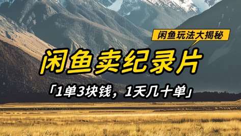 闲鱼卖纪录片1单3块钱，1天几十单，项目稳定有潜力网赚项目-副业赚钱-互联网创业-资源整合南风学院