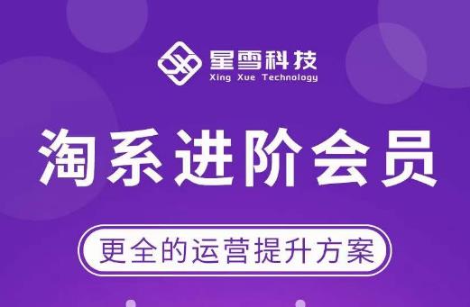 星雪·淘系进阶课程，快速提升突破技能流量瓶颈必备（更新2023年5月）网赚项目-副业赚钱-互联网创业-资源整合南风学院