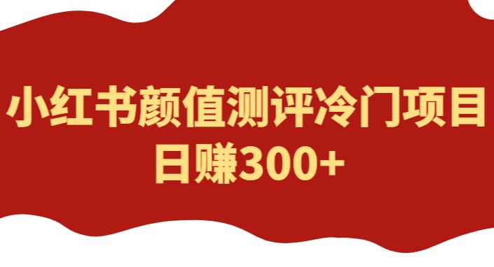 外面1980的项目，小红书颜值测评冷门项目，日赚300+【揭秘】网赚项目-副业赚钱-互联网创业-资源整合南风学院
